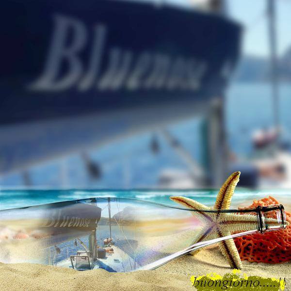 Poesie Bluenose